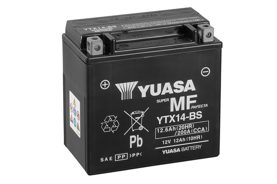 DAYTONA 955 (1999 - 2007) maintenance-free replacement battery | YUASA