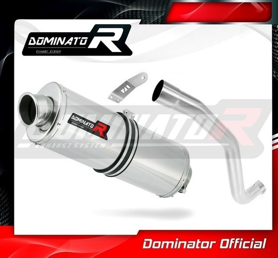 TIGER 1050 (2016 - 2020) exhaust silencer oval | Dominator