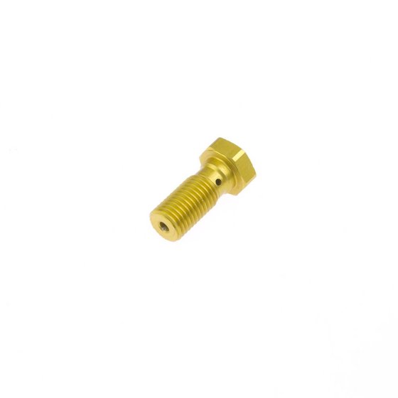 SPRINT RS 955 (2002 - 2004) gold banjo bolt m10x1.25 | TRW