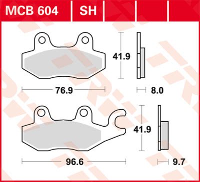 DAYTONA 1000 (1992 - 1992) allround organic brake pad | TRW