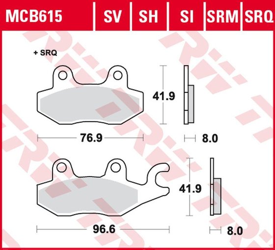 TRIDENT 900 (1992 - 1998) sintered ceramic brake pads | TRW